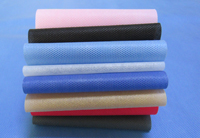 绿园涤纶（PET）无纺布是什么